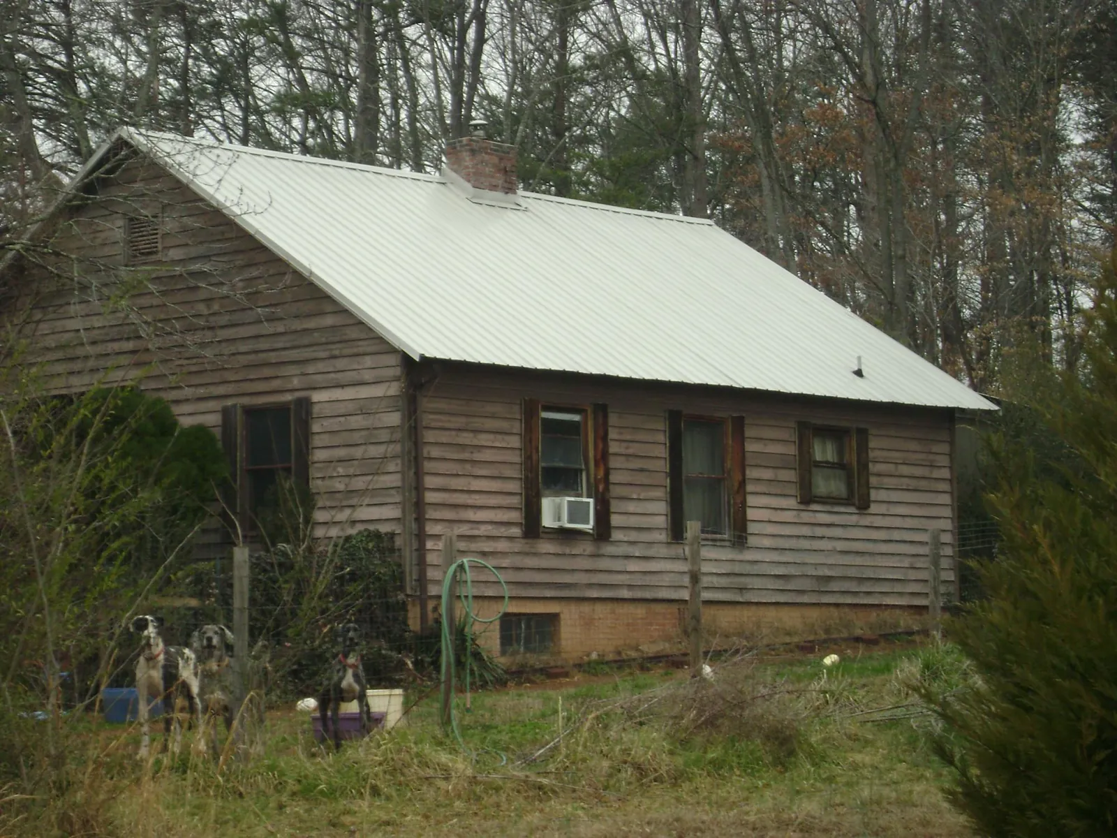 White metal roof on an old wood sided farmhouse, from a Asphalt Shingle Roof Repair job in Franklinville